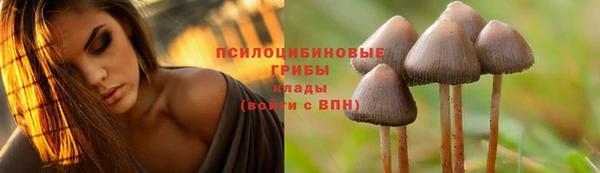крисы Балабаново