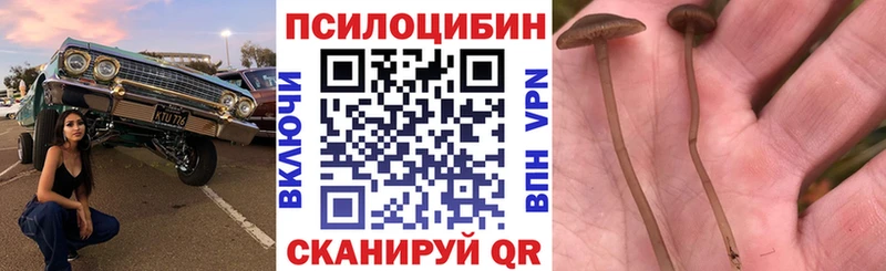 Галлюциногенные грибы ЛСД  закладка  Зубцов 